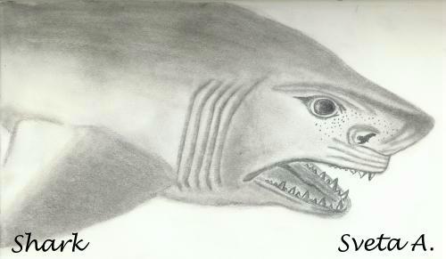 Click on the img to see larger view