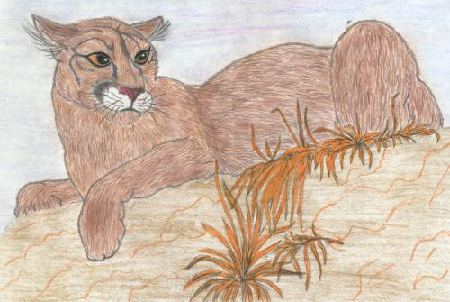 Click on the img to see larger view