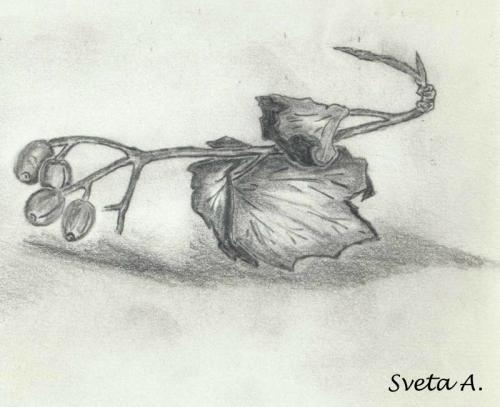 Click on the img to see larger view