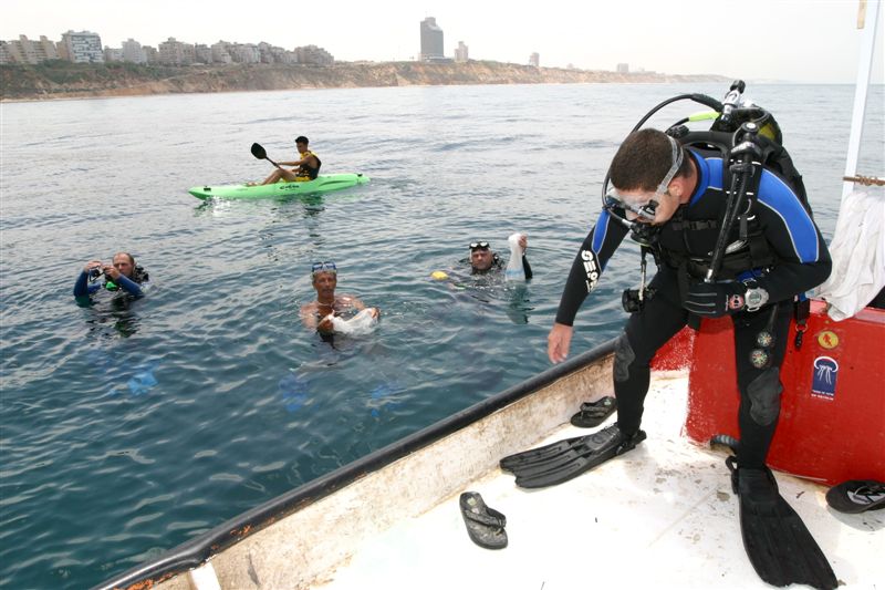 ���� �� �������