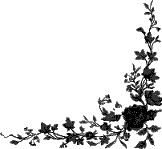 rightbottomcorner.gif (3090 bytes)