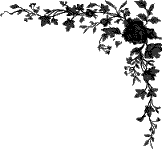 rightcorner.gif (3132 bytes)