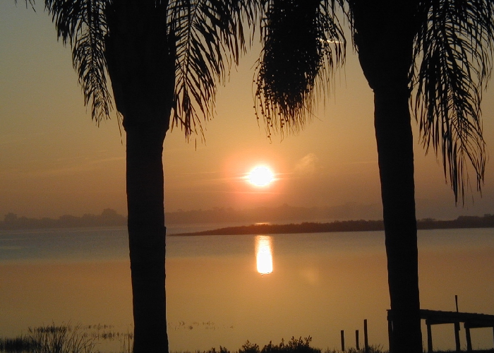 REMAX REALTY PLUS MULTIMILLION DOLLAR PRODUCER