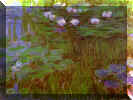 Claude Monet - Purple Water-Lilies.jpg (82205 bytes)