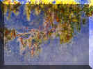 Claude Monet - Wisteria II.jpg (111700 bytes)