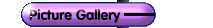 Picture Gallery