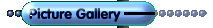 Picture Gallery