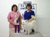 Aimee- 2004 UKC Spring National Grand Champion