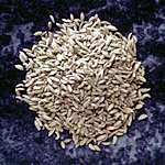 Herbs: Fennel profile