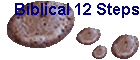 Biblical 12 Steps