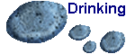 Drinking