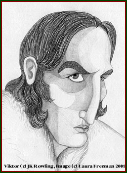 ������ ���� &copy; ���� �����