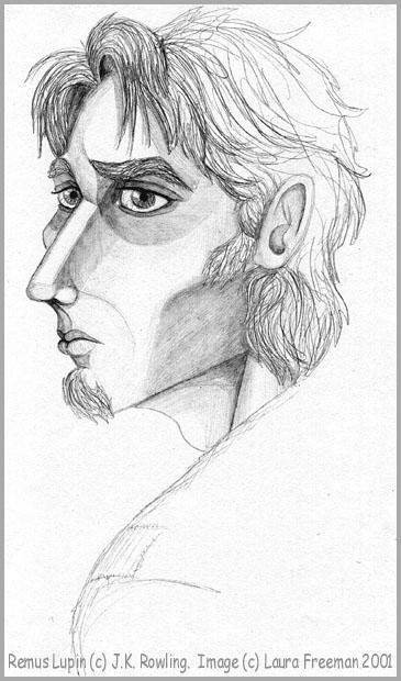 ���� �'�� ����� &copy; ���� �����