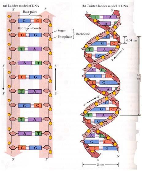 click here to go to an official chemistry webpage!