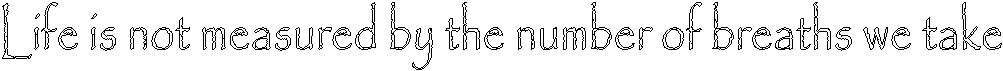 Life is not measured by the number of breaths we take 