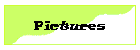 Pictures
