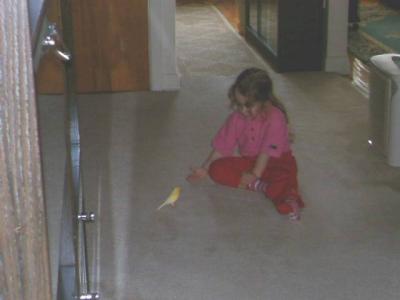 Vicky asking her canary to jump on her hand.