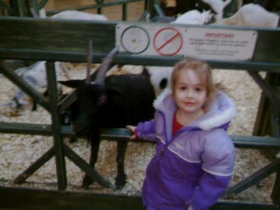 Vicky at Rockland Centre with another goat.