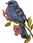 picture of a bunting