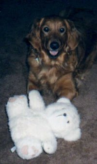 Photo of Chelsea with a stuffed bear