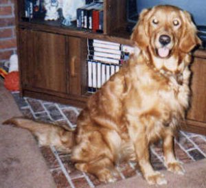 Photo of Chelsea in front of the 
entertainment center