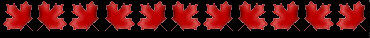 Maple Leaves
