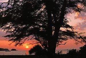 Enligt uppgift Nai Yang Beach (i solnedg�ng)