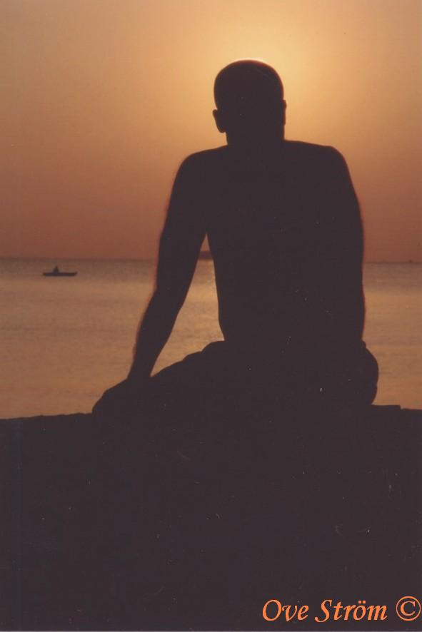 HasseJohan betraktar solnedg�ngen - Foto: Ove Str�m
