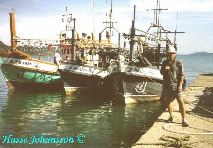 HasseJohan p� fiskebyns pir - Foto: Ove Str�m