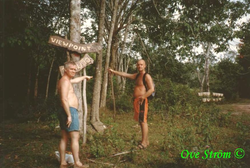 Hassarna har olika teorier om vilken v�g vi skulle valt f�r att hitta hem. I bakgrunden syns en gummiplantage och det pressade gummit som h�nger p� tork i form av sm� 'badrumsmattor' - Foto: Ove Str�m