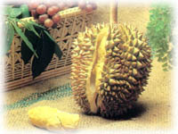 Durianfrukt - s�t men illaluktande