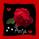 Anja