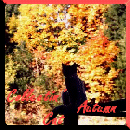 Collectin Cat's Favorite Season