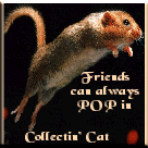 Collectin Cat