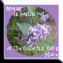 Collectin Cat's Favorite Season