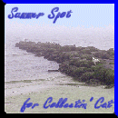 Collectin Cat's Favorite Season