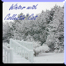 Collectin Cat's Favorite Season