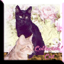 Collectin Cat