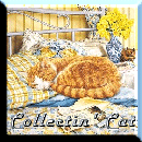 Collectin Cat