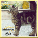 Collectin Cat