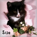 Sue