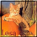 Lesa