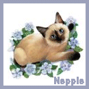 Neppie