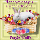Purple Wolfe
