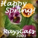 Rays Cats Favorite Season