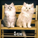 Sue