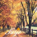 Suzie's Favorite Season