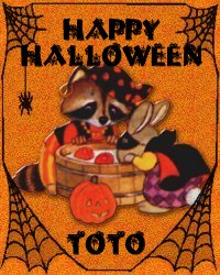 This Wonderful Card Is From Toto