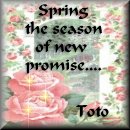 Toto Of Oz's Favorite Season