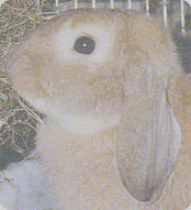 Vingore * I'm so cute!